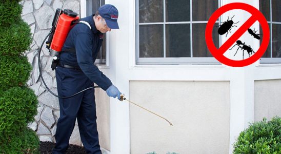 Ortaca Karınca İlaçlama böcek ilaçlama ve haşere kontrolü — ilaclama-tr.com
